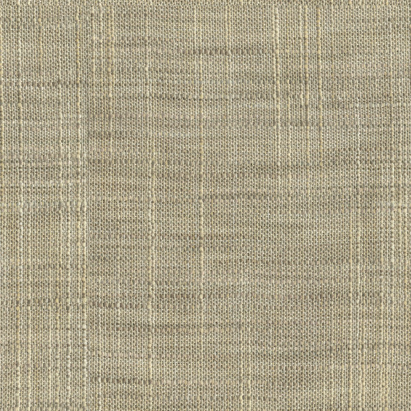8813.611 by Kravet Basics Designer Fabric our website for purchase Polyester 100% India Light Horizontal: see sample and Vertical: see sample 54 inches - Swanky Fabrics -