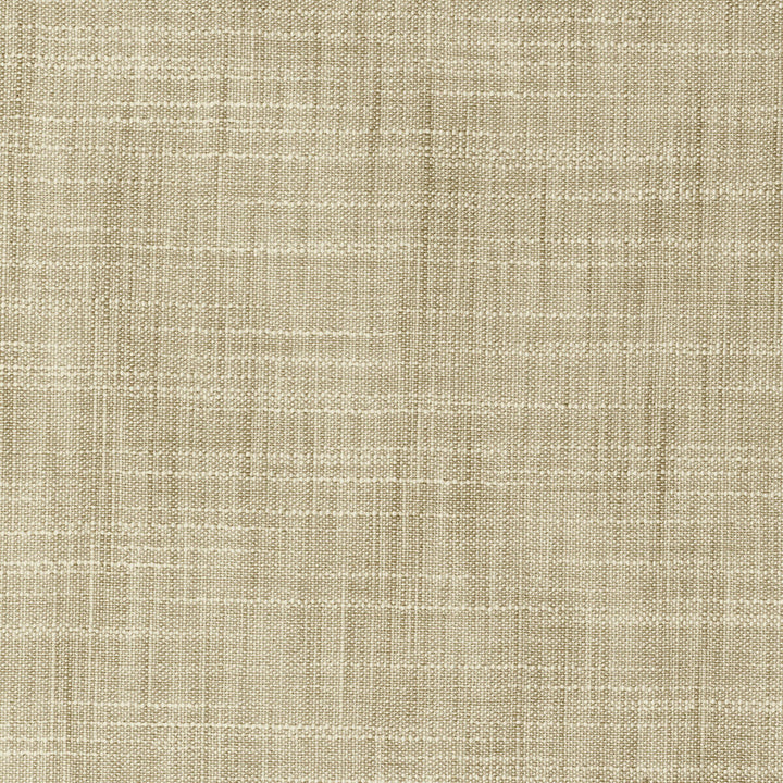 Kravet Basics 8813-1011 by Kravet Basics Fabric Kravet Basics Fabric Kravet Basics 8813-1011Fabric POLYESTER - 100% India </p><p>Repeat: H: 0, V: 0 54 - Fabric Carolina -