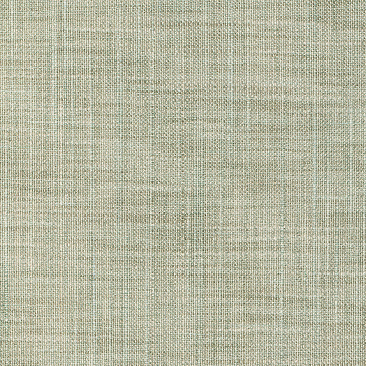 Kravet Basics 8813-35 by Kravet Basics Fabric Kravet Basics Fabric Kravet Basics 8813-35Fabric POLYESTER - 100% India </p><p>Repeat: H: 0, V: 0 54 - Fabric Carolina -