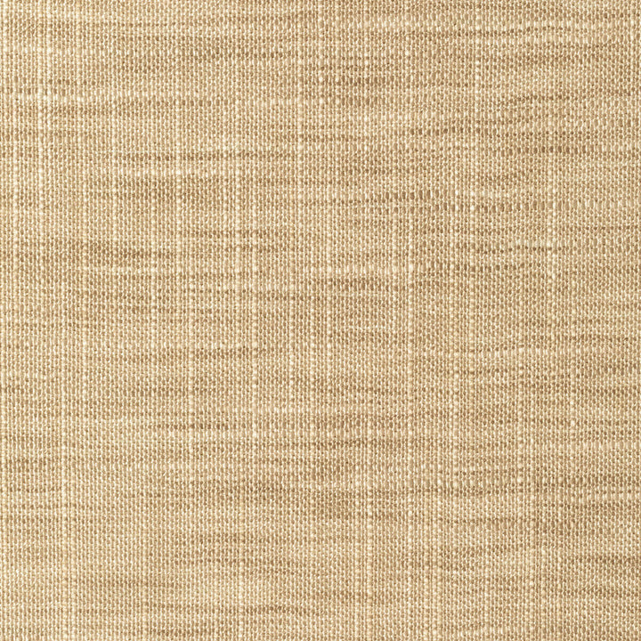 8813-611 by Kravet Basics Designer Fabric POLYESTER - 100% India LIGHT Horizontal: 0 and Vertical: 0 54 - Swanky Fabrics -