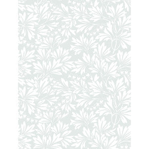 Cole & Son Wallpaper Dialytra Dove