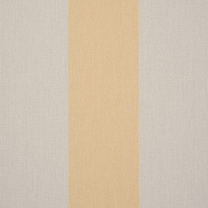 Sunbrella Fabric D300 Wide Chiné Yellow