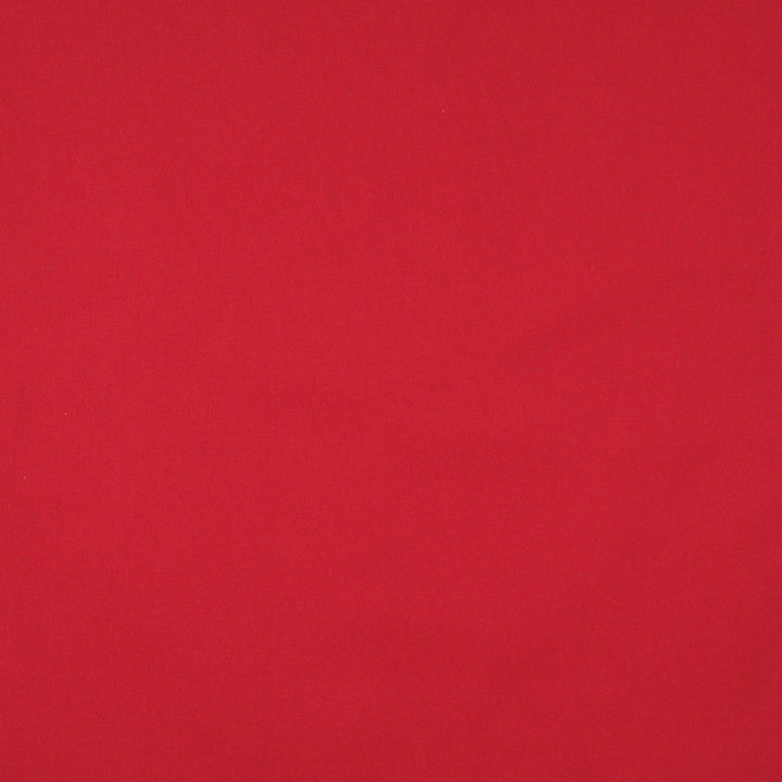 9467 Cardinal by Charlotte Designer Fabric Cotton Duck, Definitely Durable Duck & Forever Classics 100% Preshrunk Cotton, 12oz. Made In USA Exceeds 60,000 Wyzenbeek Rubs (Heavy Duty) </p><p>Repeat: 54 Inches - Swanky Fabrics -
