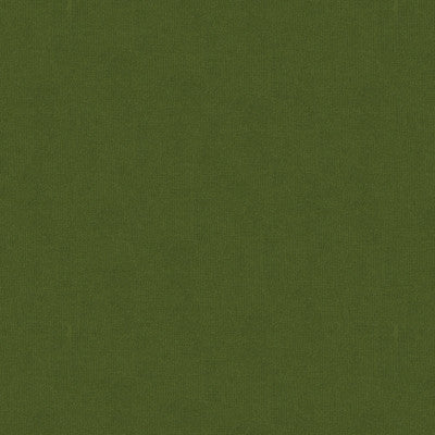 Spectrum Velvet Olive by Lee Jofa Designer Fabric - COTTON - 100% Netherlands HEAVY Horizontal: 0 and Vertical: 0 54 - Swanky Fabrics -