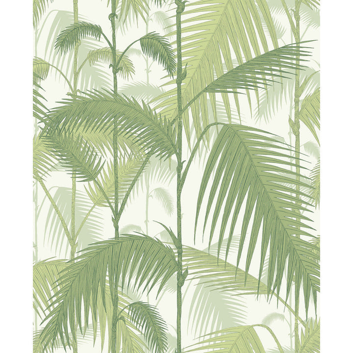 Palm Jungle Olive Gre/White by Cole & Son Designer Wallcovering CONTEMPORARY RESTYLED PAPER - 100% United Kingdom - Horizontal: 20.5 and Vertical: 25 20.5 - Swanky Fabrics -
