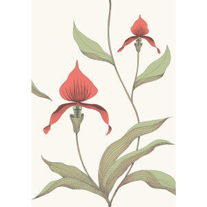 Cole & Son Wallpaper Orchid Red/White