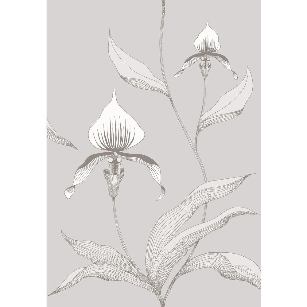 Orchid Grey/White by Cole & Son Designer Wallcovering CONTEMPORARY RESTYLED PAPER - 100% United Kingdom Horizontal: 21 and Vertical: 30 21 - Swanky Fabrics -