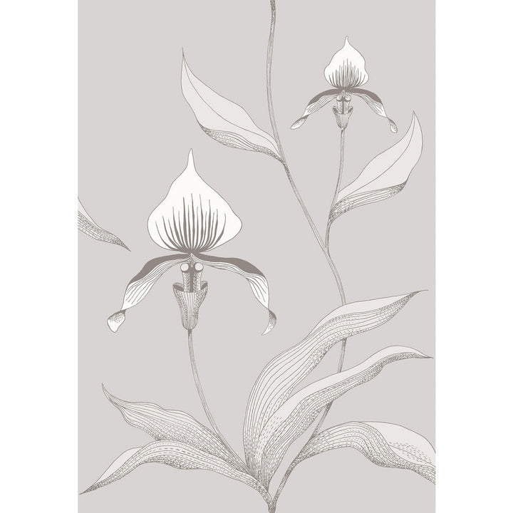 Orchid Grey/White by Cole & Son Designer Wallcovering CONTEMPORARY RESTYLED PAPER - 100% United Kingdom Horizontal: 21 and Vertical: 30 21 - Swanky Fabrics -