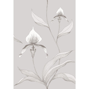 Cole & Son Wallpaper Orchid Grey/White