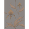 Cole & Son Wallpaper Orchid Bronze/Slate