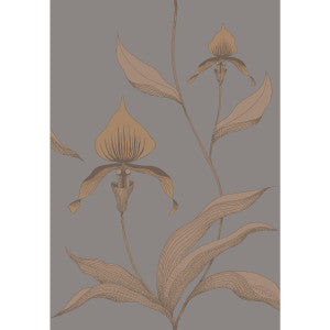 Cole & Son Wallpaper Orchid Bronze/Slate