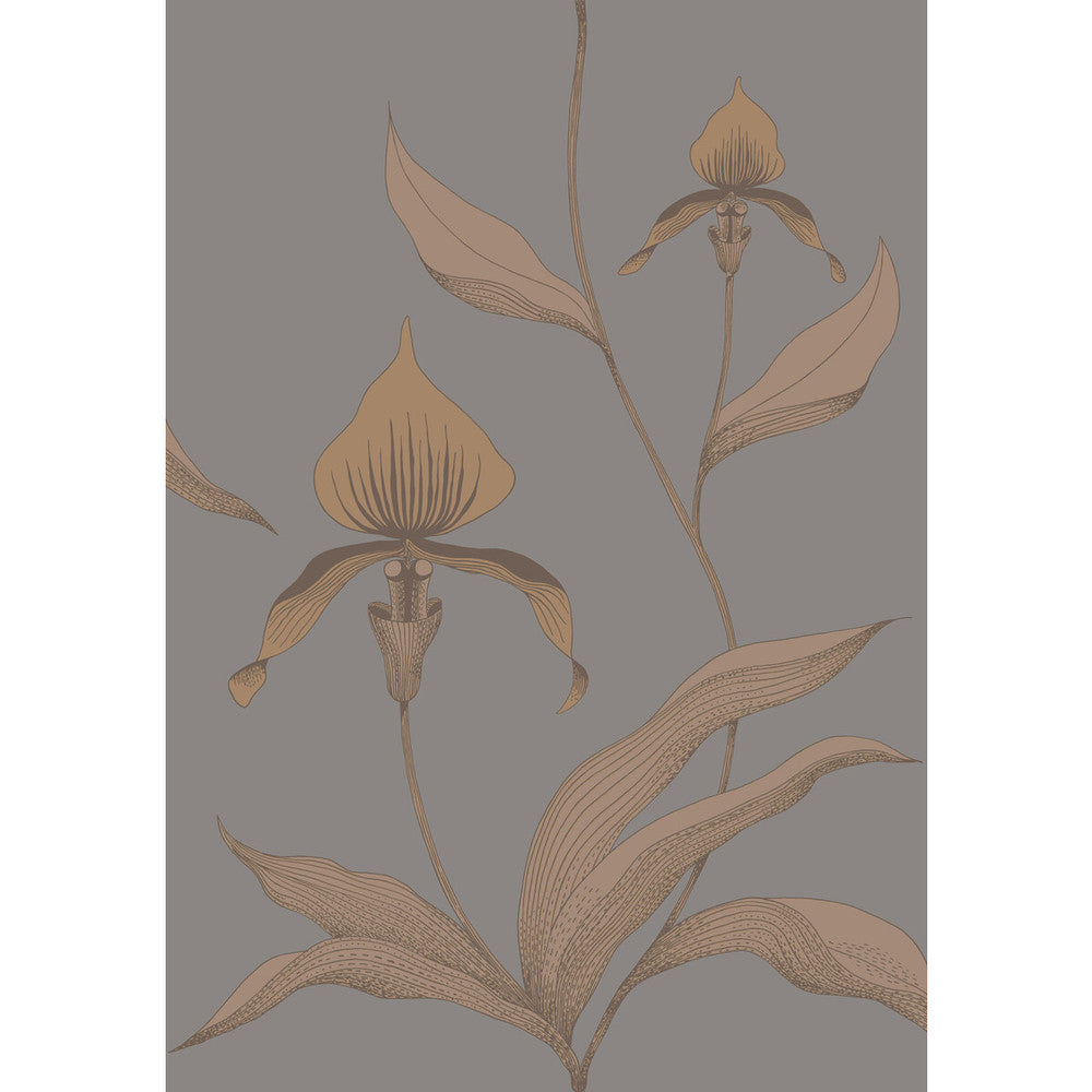 Orchid Bronze/Slate by Cole & Son Designer Wallcovering CONTEMPORARY RESTYLED PAPER - 100% United Kingdom Horizontal: 21 and Vertical: 30 21 - Swanky Fabrics -