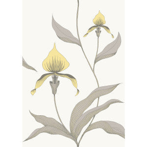 Cole & Son Wallpaper Orchid Yellow/White