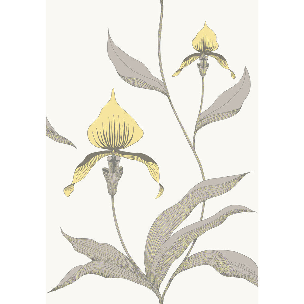 Orchid Yellow/White by Cole & Son Designer Wallcovering CONTEMPORARY RESTYLED PAPER - 100% United Kingdom Horizontal: 21 and Vertical: 30 21 - Swanky Fabrics -