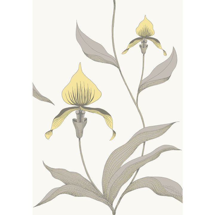 Orchid Yellow/White by Cole & Son Designer Wallcovering CONTEMPORARY RESTYLED PAPER - 100% United Kingdom Horizontal: 21 and Vertical: 30 21 - Swanky Fabrics -