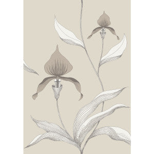 Cole & Son Wallpaper Orchid Linen/White