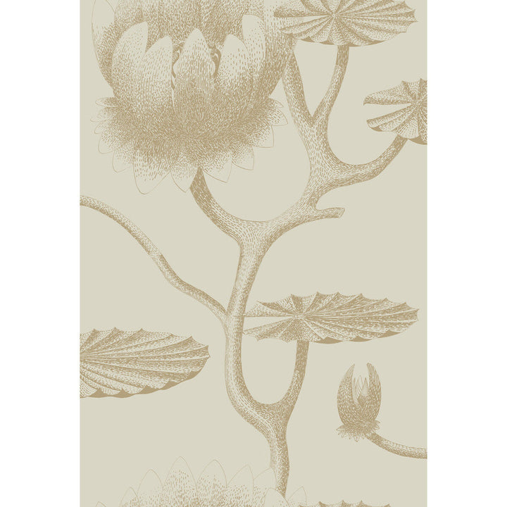 Lily Linen/Gold by Cole & Son Wallcovering Cole & Son Wallcovering Lily Linen/GoldWallcovering CONTEMPORARY RESTYLED PAPER - 100% United Kingdom </p><p>Repeat: H: 20.5, V: 30 20.5 - Fabric Carolina -