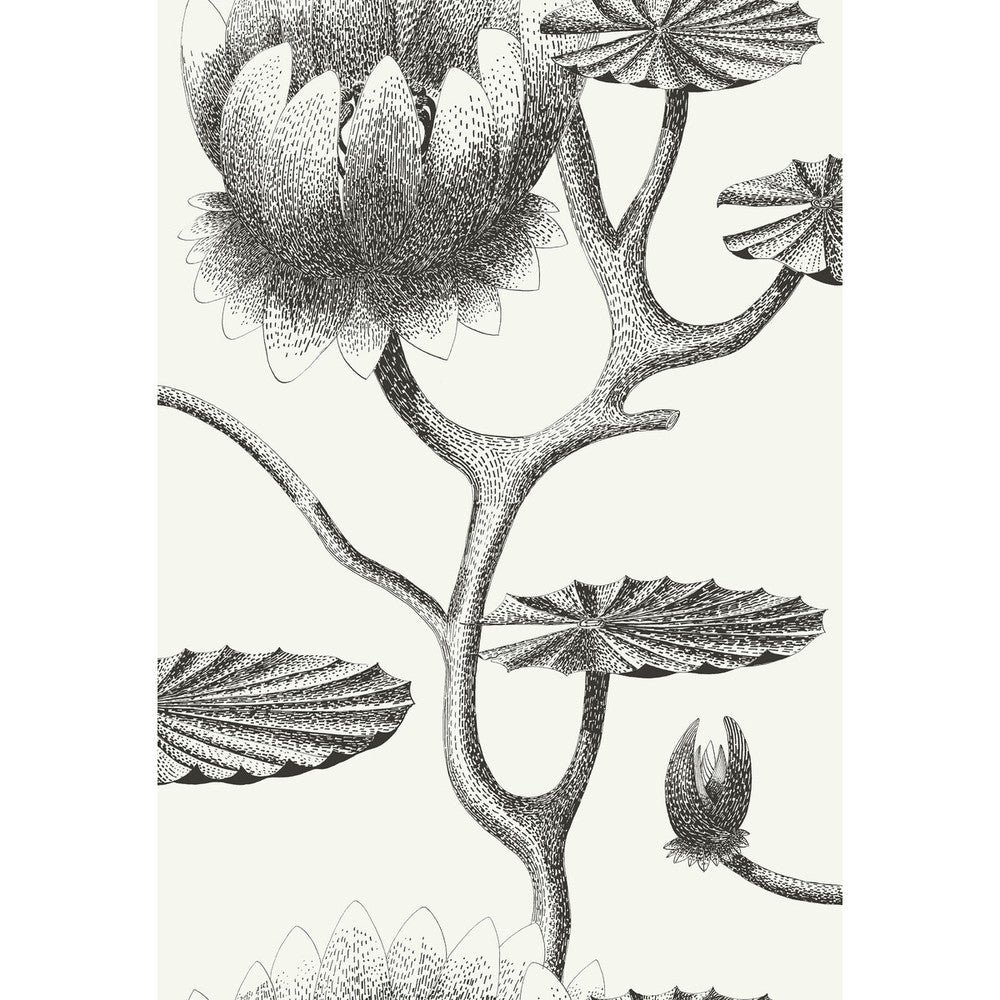 Lily Black/White by Cole & Son Designer Wallcovering CONTEMPORARY RESTYLED PAPER - 100% United Kingdom - Horizontal: 20.5 and Vertical: 30 20.5 - Swanky Fabrics -