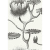 Cole & Son Wallpaper Lily Black/White