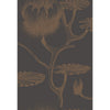 Cole & Son Wallpaper Lily Black/Bronze
