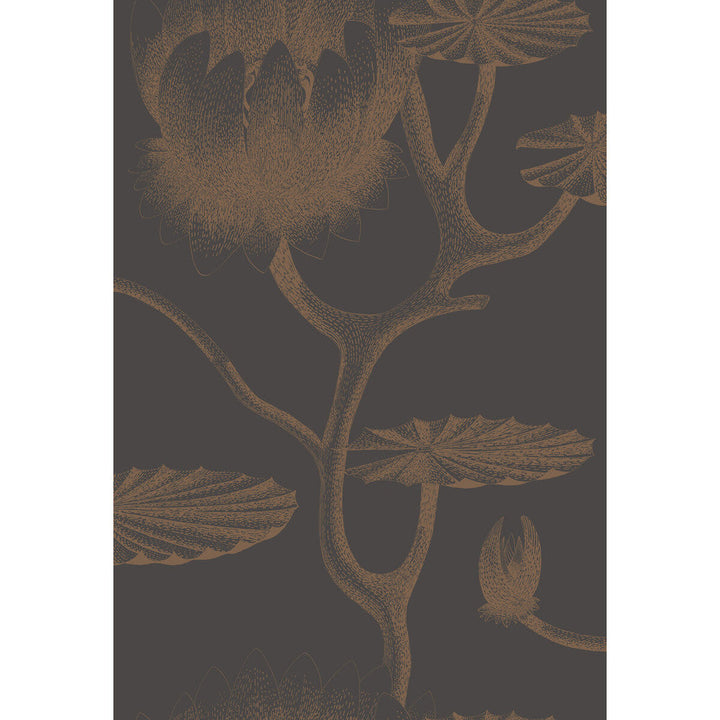 Lily Black/Bronze by Cole & Son Designer Wallcovering CONTEMPORARY RESTYLED PAPER - 100% United Kingdom Horizontal: 20.5 and Vertical: 30 20.5 - Swanky Fabrics -