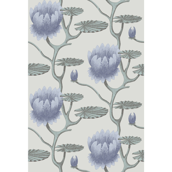 Summer Lily Blu/Aq/Pearl by Cole & Son Wallcovering Cole & Son Wallcovering Summer Lily Blu/Aq/PearlWallcovering CONTEMPORARY RESTYLED PAPER - 100% United Kingdom </p><p>Repeat: H: 27, V: 19.75 27 - Fabric Carolina -