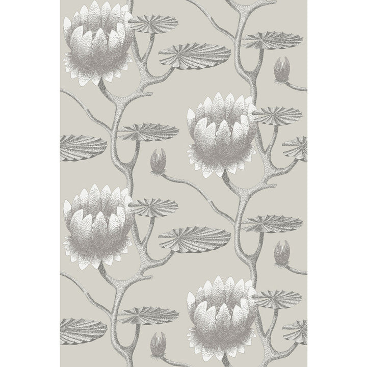 Summer Lily Taupe/White by Cole & Son Designer Wallcovering CONTEMPORARY RESTYLED PAPER - 100% United Kingdom Horizontal: 27 and Vertical: 19.75 27 - Swanky Fabrics -