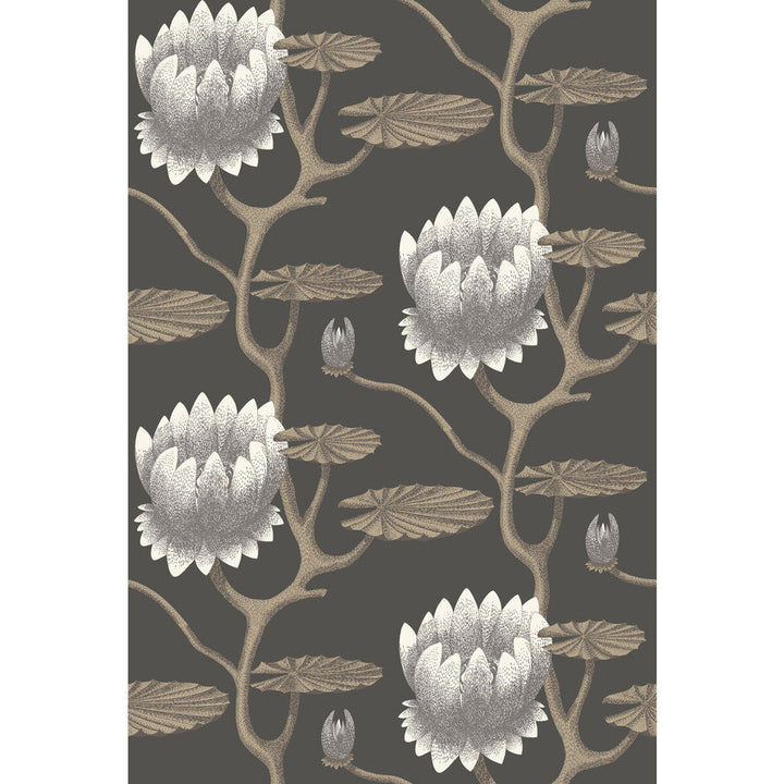 Summer Lily Blk/Wht/Gold by Cole & Son Designer Wallcovering CONTEMPORARY RESTYLED PAPER - 100% United Kingdom Horizontal: 27 and Vertical: 19.75 27 - Swanky Fabrics -