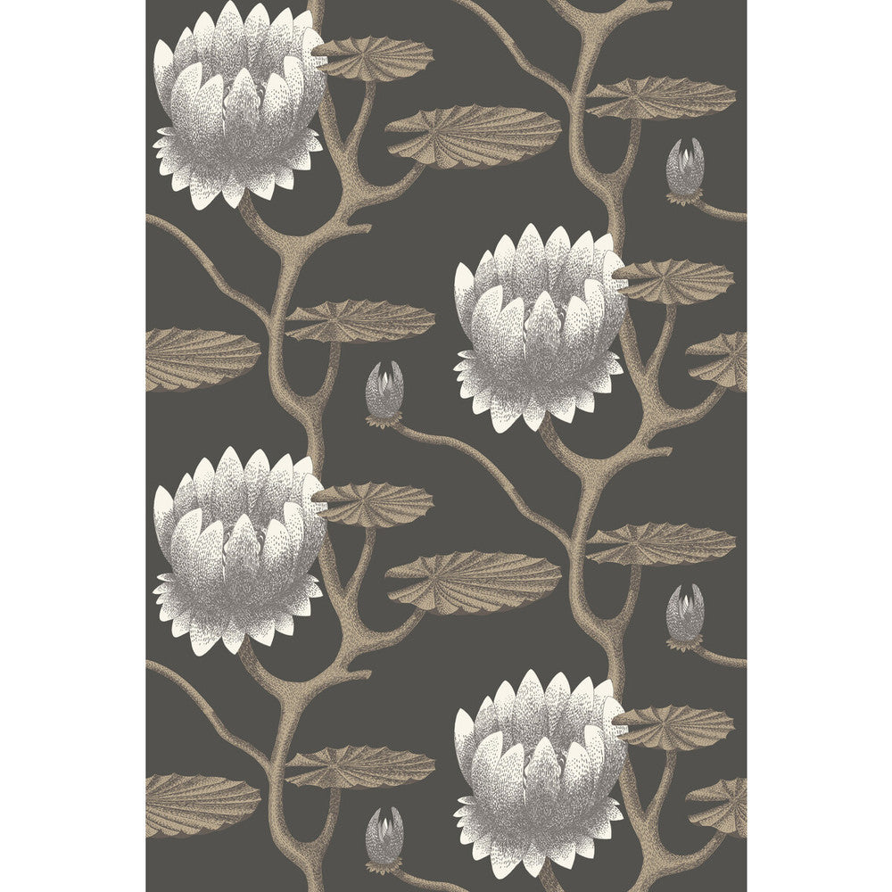 Summer Lily Blk/Wht/Gold by Cole & Son Wallcovering Cole & Son Wallcovering Summer Lily Blk/Wht/GoldWallcovering CONTEMPORARY RESTYLED PAPER - 100% United Kingdom </p><p>Repeat: H: 27, V: 19.75 27 - Fabric Carolina -