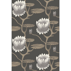 Cole & Son Wallpaper Summer Lily Blk/Wht/Gold