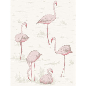 Cole & Son Wallpaper Flamingos Pink/White