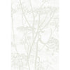 Cole & Son Wallpaper Cow Parsley White 95/9052.CS.0