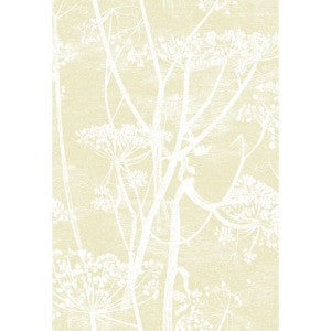 Cole & Son Wallpaper Cow Parsley Straw/White