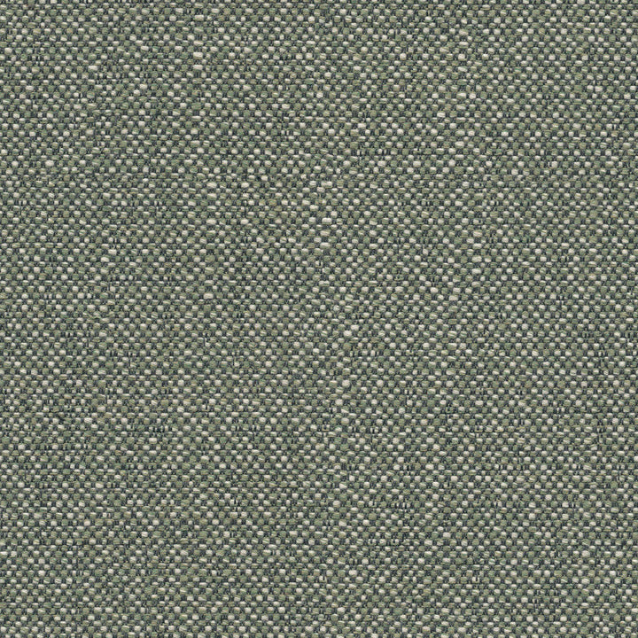 Savane Swamp SAVJ449 by Sunbrella European Designer Fabric Sunbrella® Acrylic, Sunbrella® Polyester Horizontal: and Vertical: 55 in. - Swanky Fabrics -