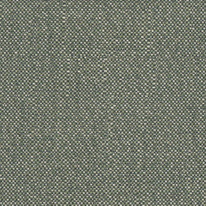 Sunbrella European Fabric Savane Swamp SAVJ449