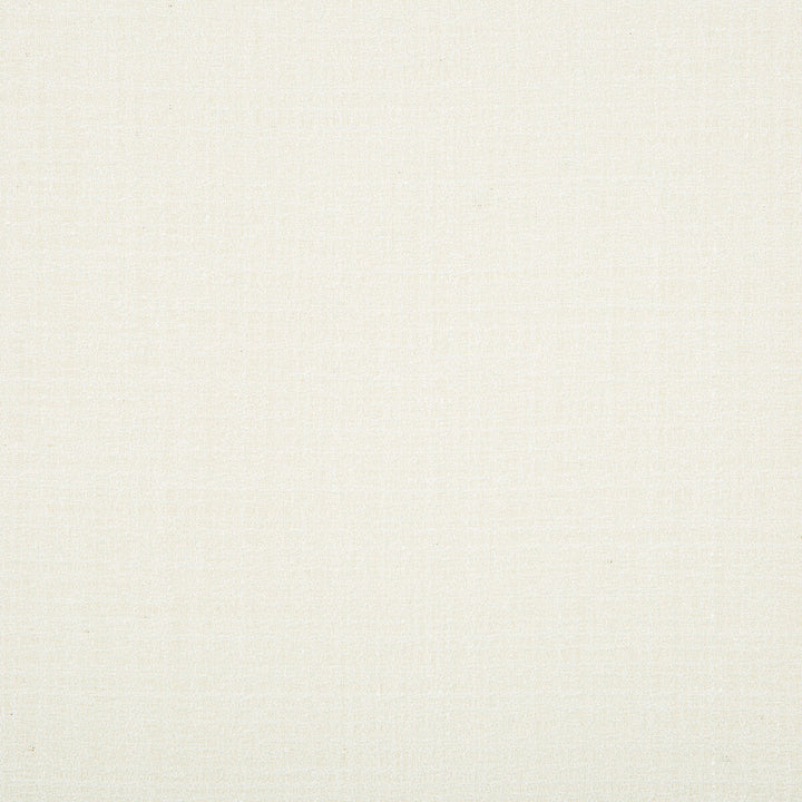 9789-101 by Kravet Basics Designer Fabric POLYESTER - 100% Turkey Horizontal: and Vertical: 60 - Swanky Fabrics -