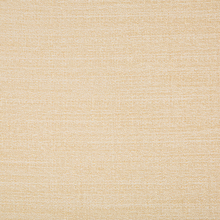 Kravet Basics 9789-116 by Kravet Basics Fabric Kravet Basics Fabric Kravet Basics 9789-116Fabric POLYESTER - 100% Turkey </p><p>Repeat: H: , V: 60 - Fabric Carolina -
