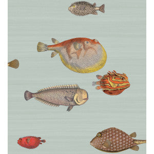 Cole & Son Wallpaper Acquario Pal Bl & Mlt