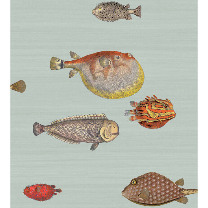 Acquario Pal Bl & Mlt by Cole & Son Designer Wallcovering COLE & SON FORNASETTI PAPER - 100% United Kingdom Horizontal: and Vertical: 29.94 27 - Swanky Fabrics -
