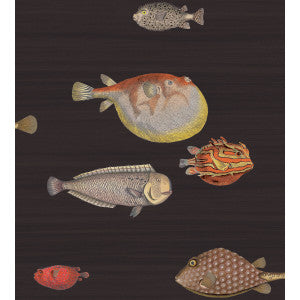 Cole & Son Wallpaper Acquario Black & Mult