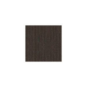 Kravet Fabric Blink Burnish