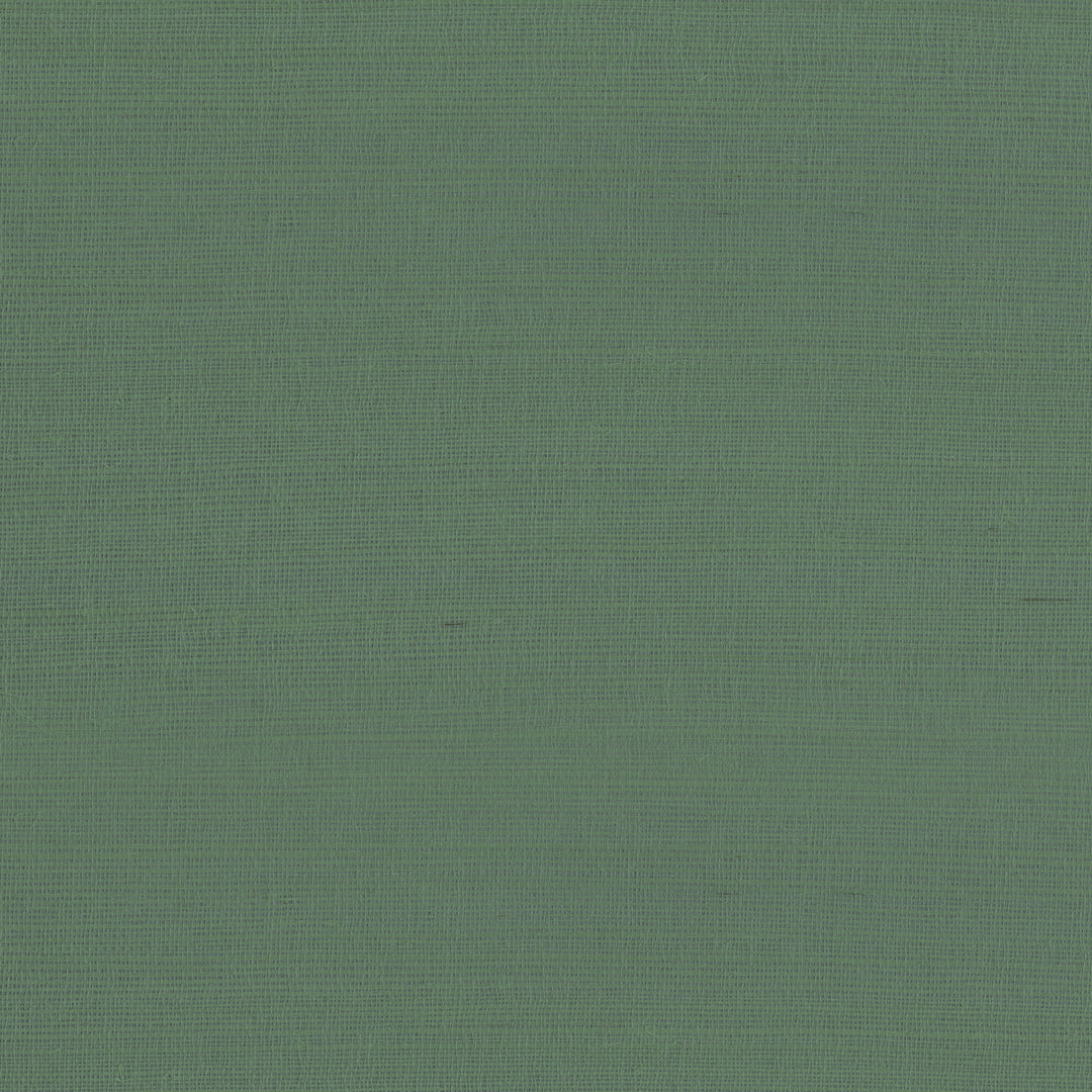 9981