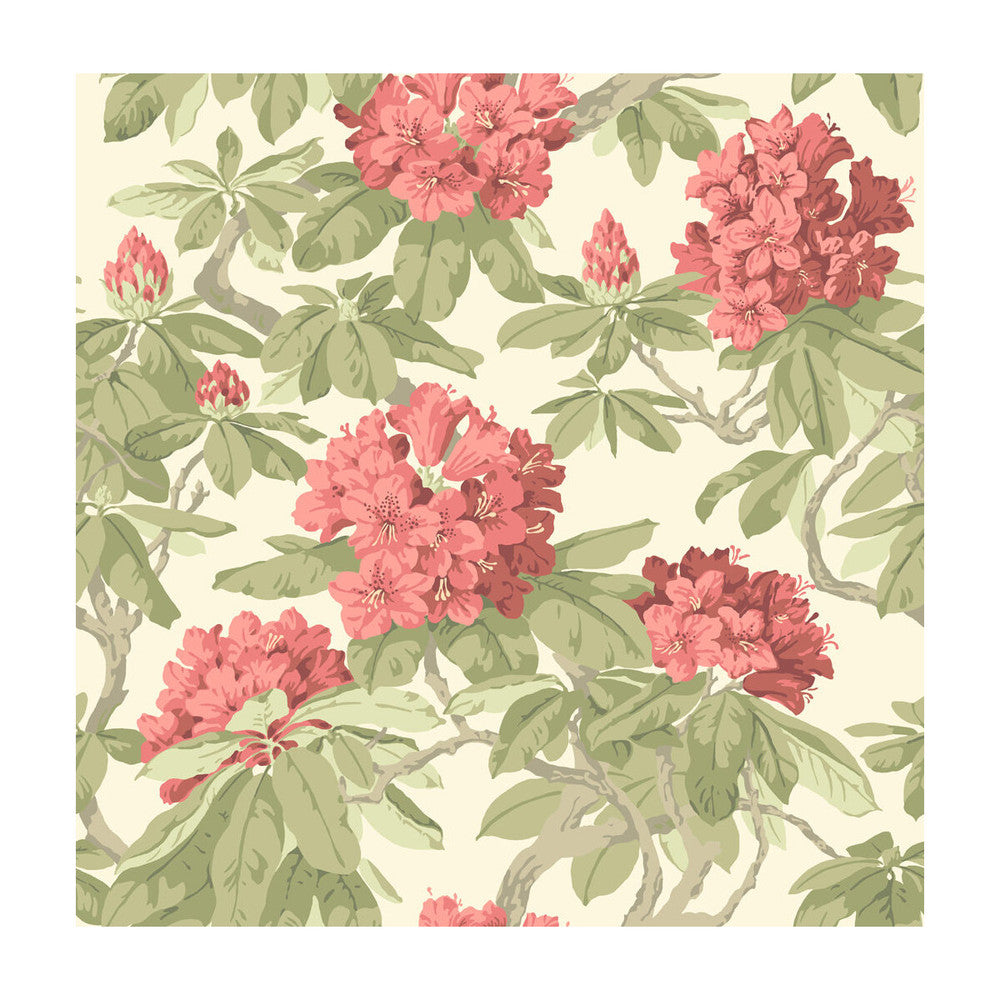 Bourlie Coral by Cole & Son Designer Wallcovering - PAPER - 100% United Kingdom - Horizontal: - and Vertical: 20.5 20.5 - Swanky Fabrics -
