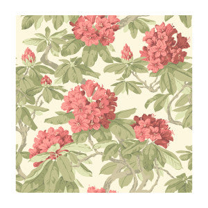 Cole & Son Wallpaper Bourlie Coral