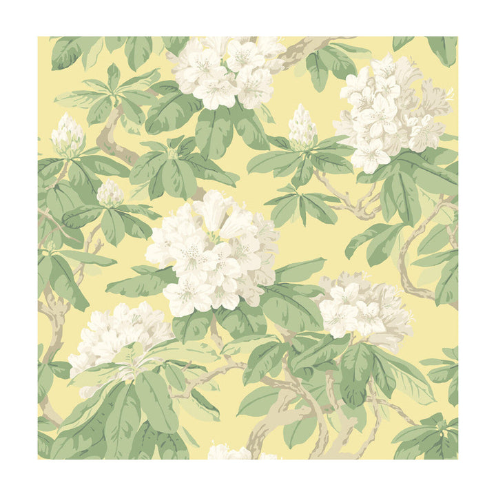 Bourlie Pale Lemon by Cole & Son Designer Wallcovering PAPER - 100% United Kingdom Horizontal: and Vertical: 20.5 20.5 - Swanky Fabrics -