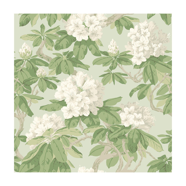 Bourlie Duck Egg by Cole & Son Designer Wallcovering PAPER - 100% United Kingdom Horizontal: and Vertical: 20.5 20.5 - Swanky Fabrics -