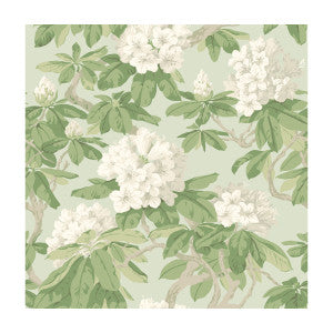 Cole & Son Wallpaper Bourlie Duck Egg