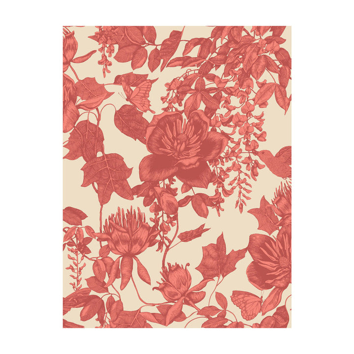 Tivoli Coral by Cole & Son Wallcovering Cole & Son Wallcovering Tivoli CoralWallcovering PAPER - 100% United Kingdom </p><p>Repeat: H: , V: 27.5 21 - Fabric Carolina -