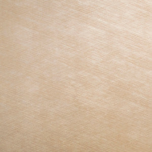 Europatex Fabric Pioneer 09