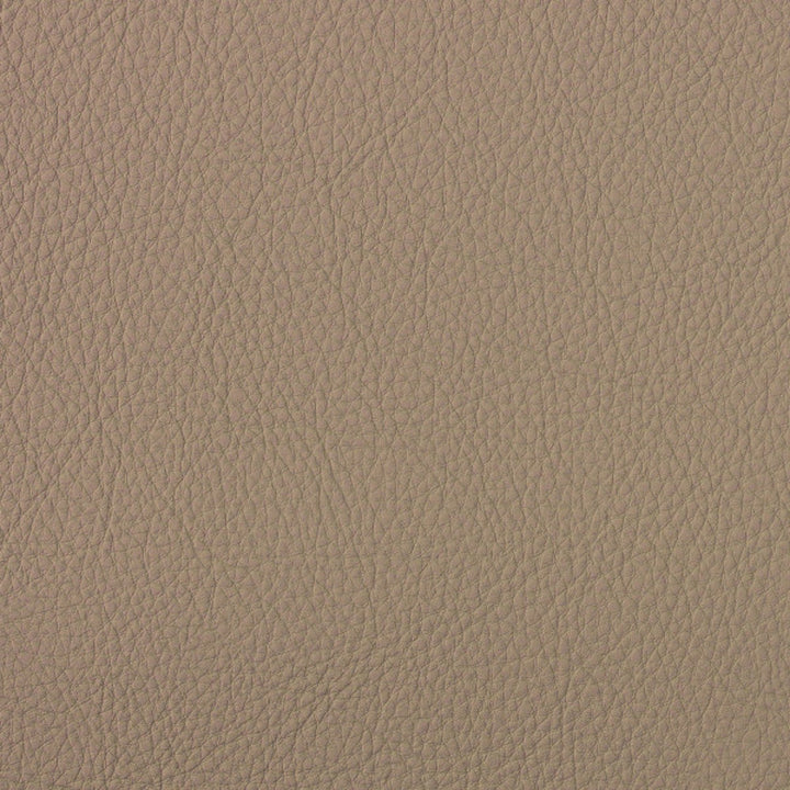 A4090 Papyrus by Greenhouse Designer Fabric Face: 100% Pvc, Back: 100% Polyester Taiwan 500,000 </p><p>Repeat: None 54" - Swanky Fabrics -